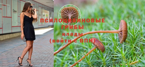 ПСИЛОЦИБИНОВЫЕ ГРИБЫ Армянск
