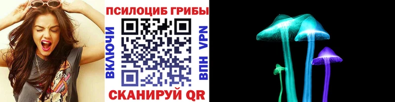 купить  цена  Кировск  Галлюциногенные грибы Psilocybe 